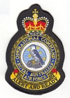 Operational Command badge