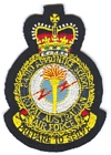 Radio Apprentice School badge