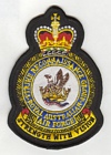 Strike Recce Group badge