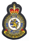 Support Unit Brisbane badge