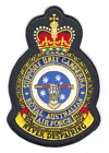 Support Unit Canberra badge