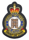 Support Unit Perth badge