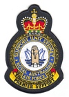 Support Unit Sydney badge