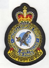 Tactical Fighter Group badge