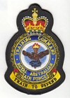 Training Command badge