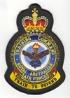 Training Command badge