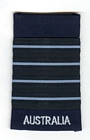 Group Captain insignia