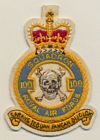 100 Squadron badge