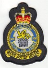 101 Squadron badge