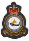 115 Squadron badge
