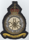 127 Squadron badge