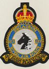 137 Squadron badge