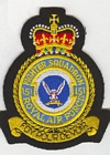 151 Squadron badge