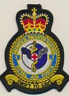 1 Aeromedical Evacuation Squadron badge
