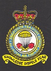 No. 1 Parachute Training School badge
