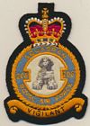 208 Squadron badge