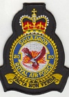 20 Squadron badge