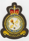 228 Operational Conversion Unit badge