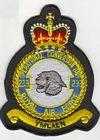 233 Operational Conversion Unit badge