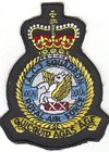 28 Squadron badge