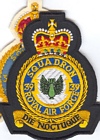 39 Squadron badge
