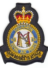 50 Squadron badge