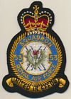 53 Squadron badge