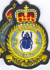 64 Squadron badge