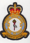 6 Flying Training School badge