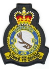 83 Squadron badge
