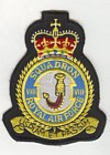 8 Squadron badge