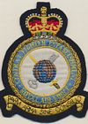 Central Fighter Establishment badge