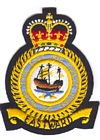 Far East Air Force badge