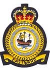 Far East Air Force badge
