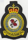 Firefighting & Rescue Service badge