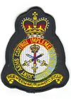 Joint Arms Control Implementation Group badge