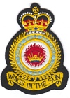 Middle East Air Force badge