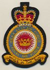Near East Air Force badge