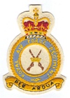 RAF Regiment badge