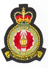 Search & Rescue Training Unit badge