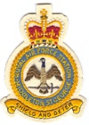 Middleton St. George badge