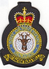 Spadeadam badge