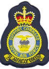 Support Command badge