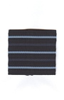 Wing Commander insignia
