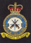 16 Sqn RAF Regiment badge
