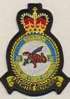 51 Sqn RAF Regiment badge