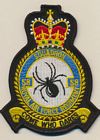 58 Sqn RAF Regiment badge