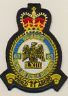 63 Sqn RAF Regiment badge