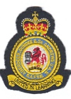 Aberdeen, Dundee, & St Andrews UAS badge