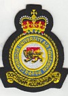Cambridge UAS badge